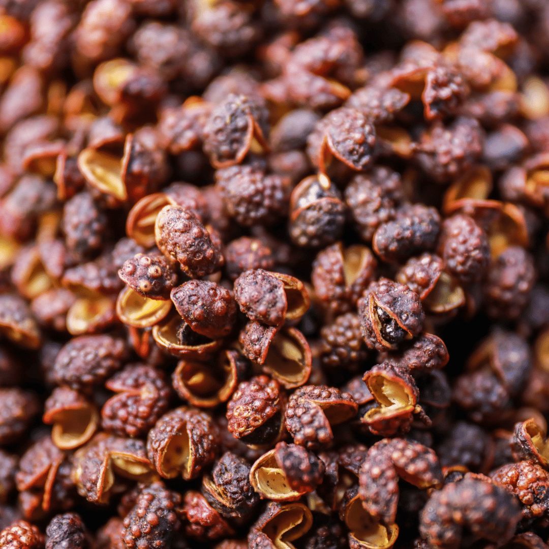 Poivre Timur des hautes altitudes du Népal