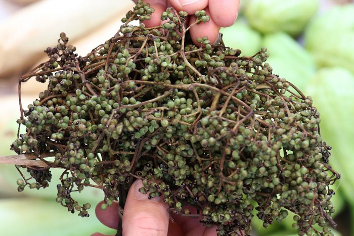 Baie ma khaen des régions montagneuses du nord du Laos et de la Thaïlande.