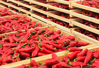 Piment Espelette AOP France - Saveur Douce Premium - Scoville 1 500-2 500