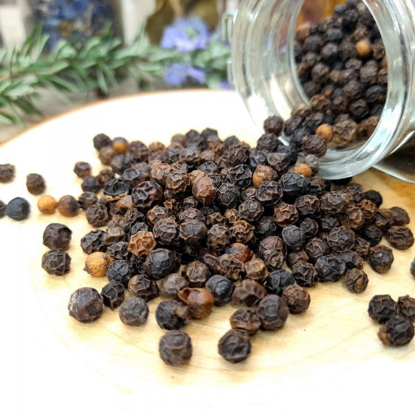 Poivre noir de Nam Bô, perle rare de l'Asie du Sud-Est, sud du Vietnam